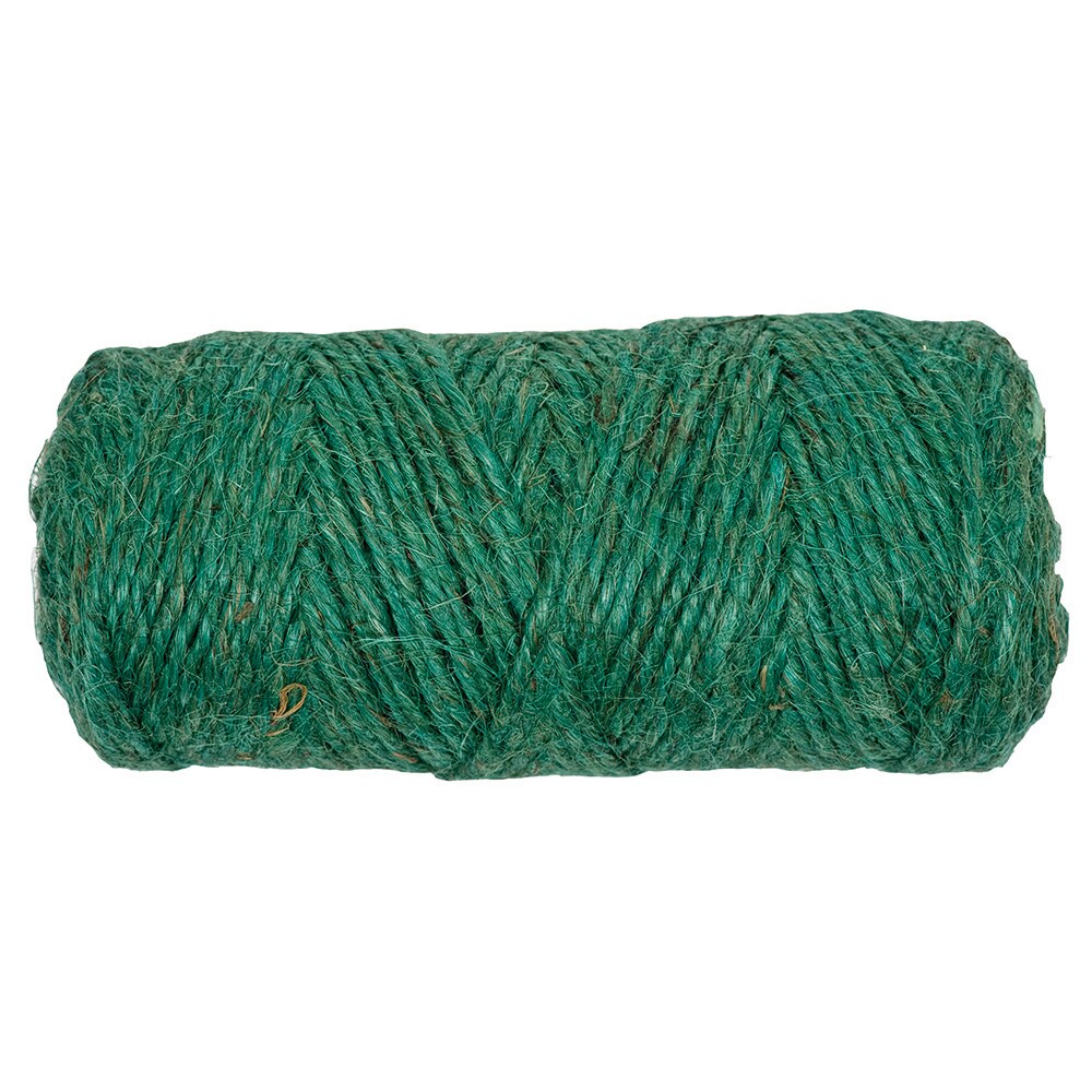 Gardener's Blue Ribbon 200-ft Green Jute Twine in the String & Twine  department at